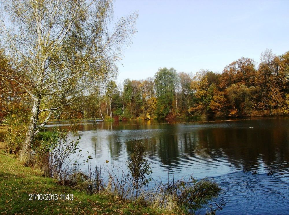 Pozostałe, PARK w ŚWIERKLAŃCU - Rozległe jeziorko ... lustrzane odbicie... stanęłam jak wryta w niemym  zachwycie...