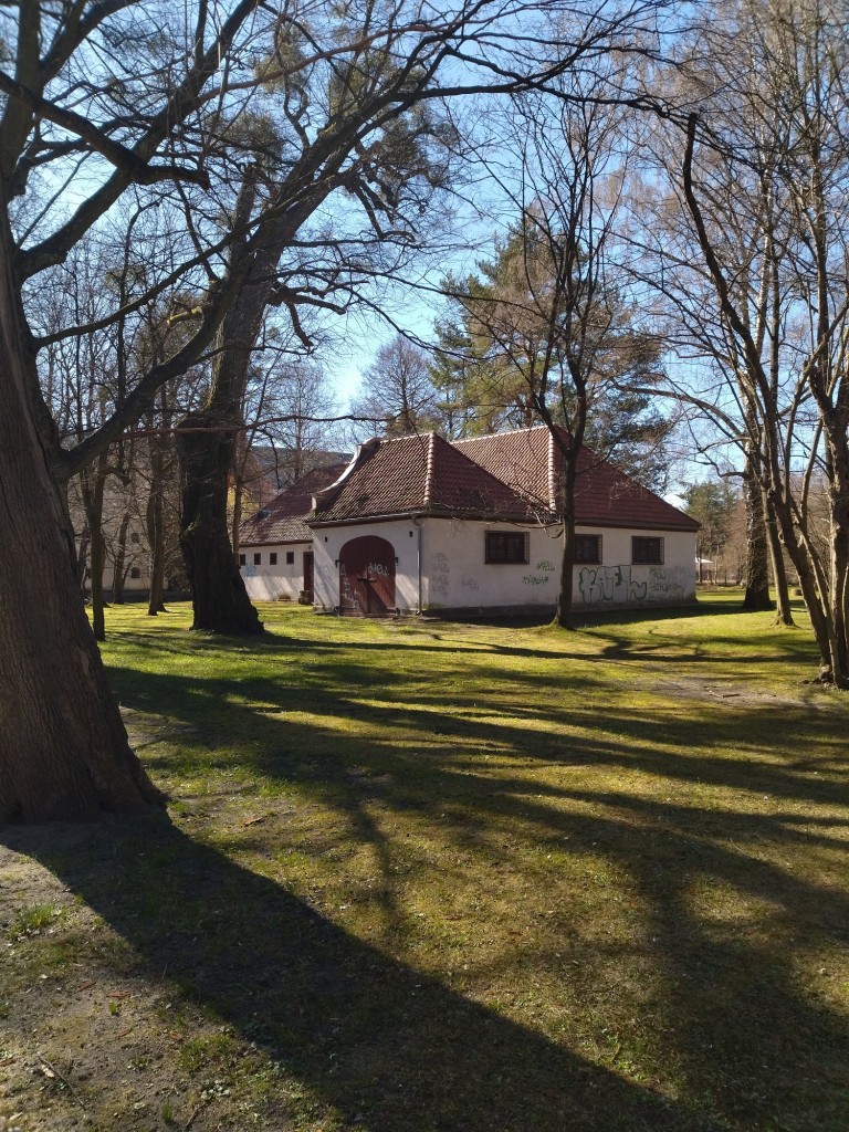 Rośliny, Zdrowych i Spokojnych Świąt Wielkanocnych ........... - Zdrowych i Spokojnych Świąt Wielkanocnych życzę Wam.................