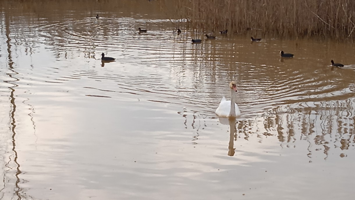 Podróże, LUTOWY, SŁONECZNY DZIEŃ