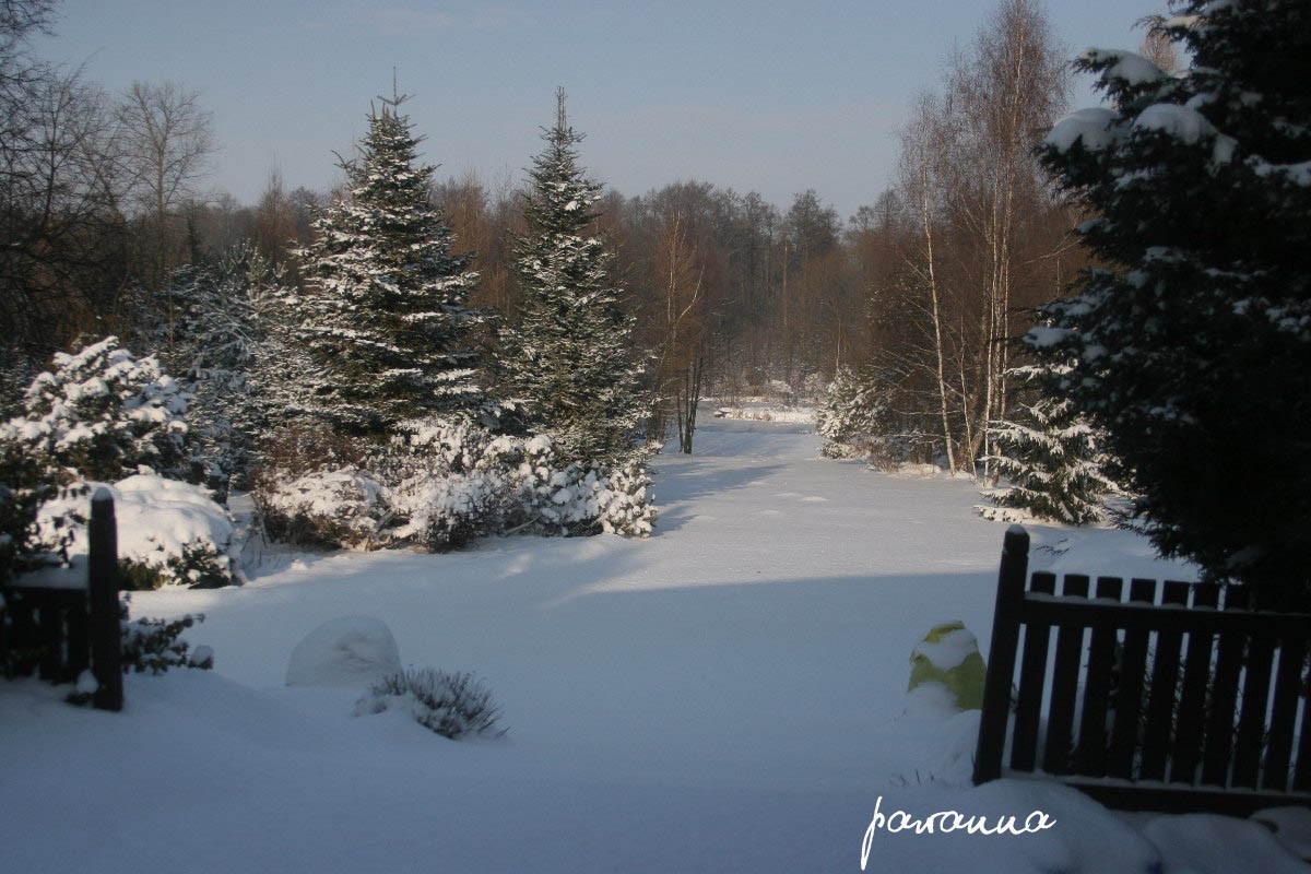 Pozostałe, Mój ogród zimą - widok z tarasu