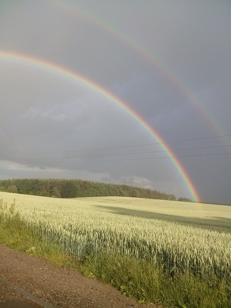 Pozostałe, Lato....w zaciszu ogródka...