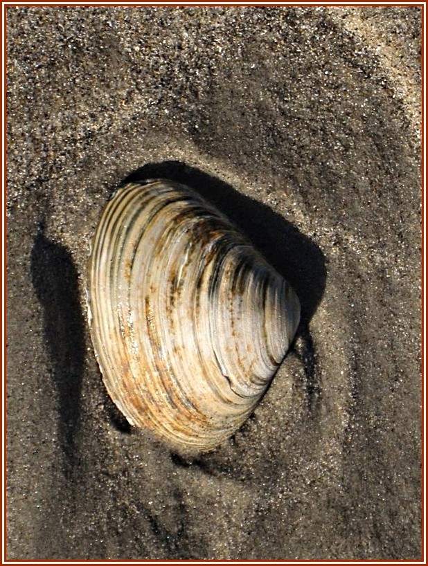 Pozostałe, Brzegiem Oceanu Atlantyckiego