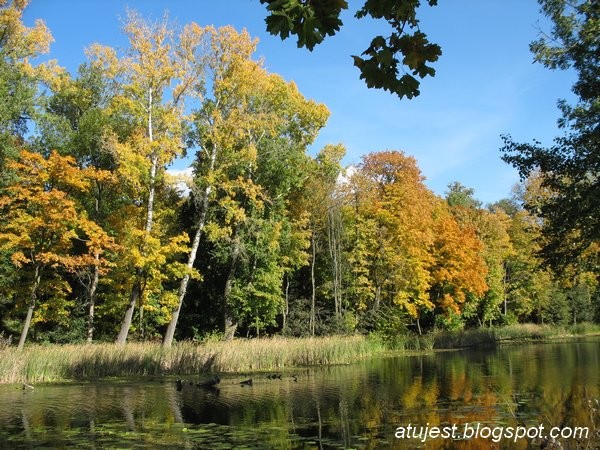 Pozostałe, Odkurzone foto - Park Czartoryskich w Puławach z zabytkami, ale teraz letnią porą. Widok ze skarpy na starą łachę wiślaną i pływające łabędzie.