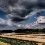 Pozostałe, Melexem po Kazimierzu Dolnym - jedziemy wzdłuż promenady nad  Wisłą