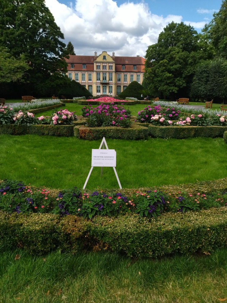 Rośliny, Sierpniowe love......................... - Lato rozpieszcza nas słonkiem .................i pięknymi widokami......................nawet moje robótki poszły w odstawkę .................nastał czas wypoczynku..................póki lato trwa :) Pozdrawiam Was bardzo serdecznie i duuuuuuuuuużo dobrego życzę :)