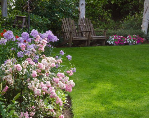 Ogród z ekspertem: Wiosenna pielęgnacja trawnika