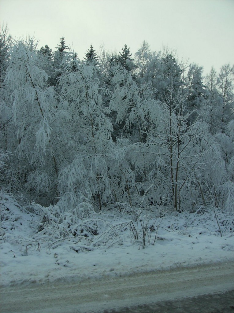 Pozostałe, MROŻNA ZIMA 2012 r.