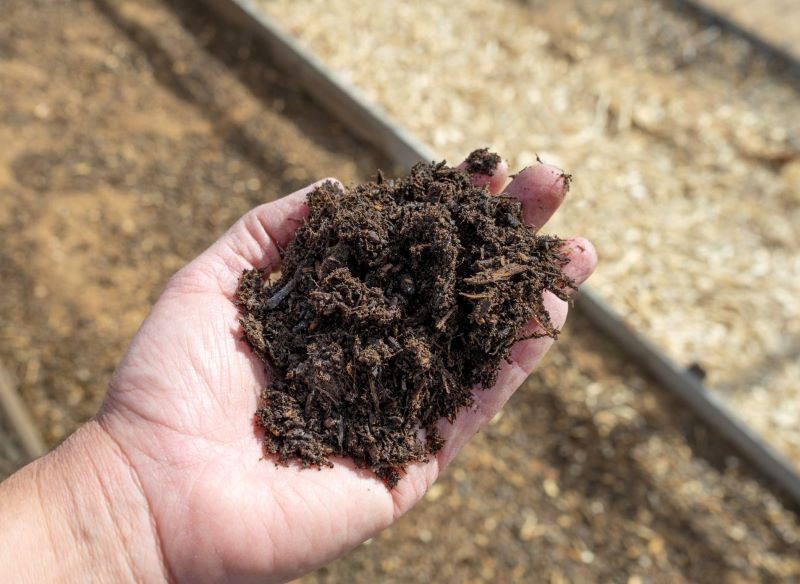 Próbki gleby możemy przekazać stacji chemiczno-rolniczej.