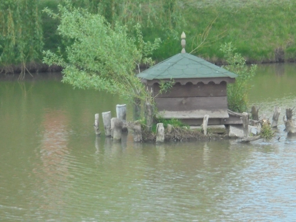 Pozostałe, PARK  ZDROJOWY  W  SOLCU - Park - Fauna