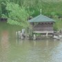 Pozostałe, PARK  ZDROJOWY  W  SOLCU - Park - Fauna