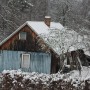 Leśne klimaty, CZEKAJĄC NA ŚWIĘTA :)