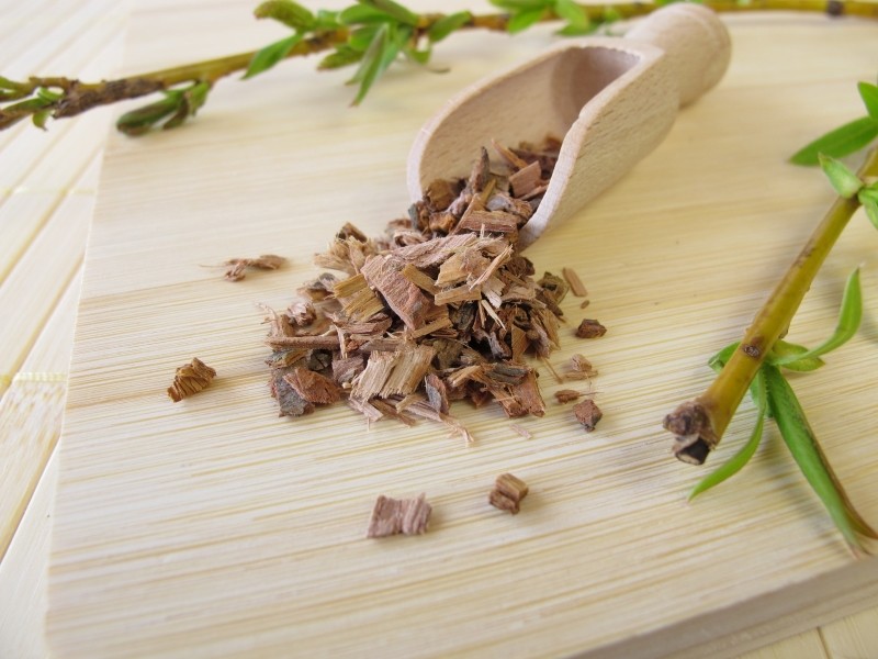 wierzba purpurowa zastosowanie