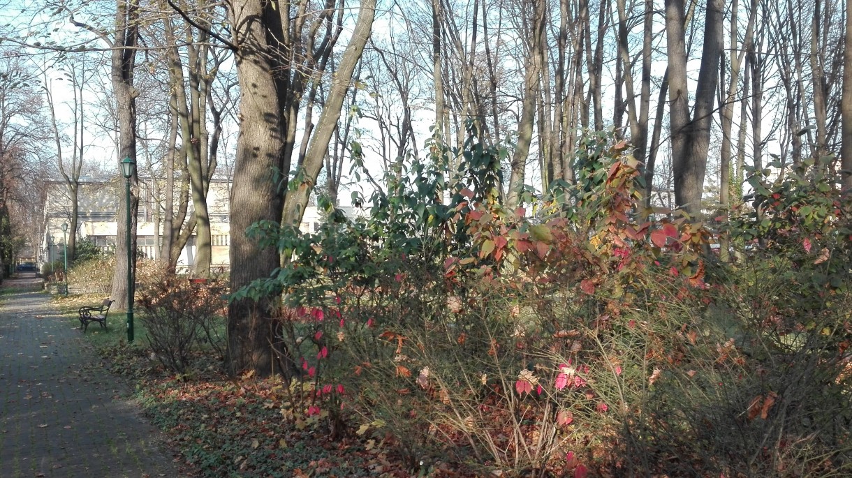 Podróże, Październikowa - Park przy Ośrodku Rehabilitacji Narządu Ruchu w Krzeszowicach