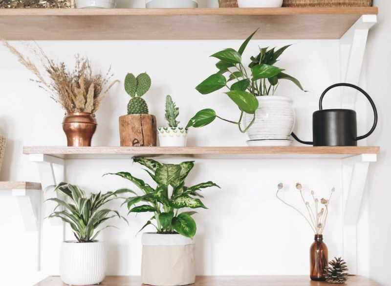 Wyraziste dodatki są niezbędne we wnętrzach utrzymanych w stylu boho glamour.