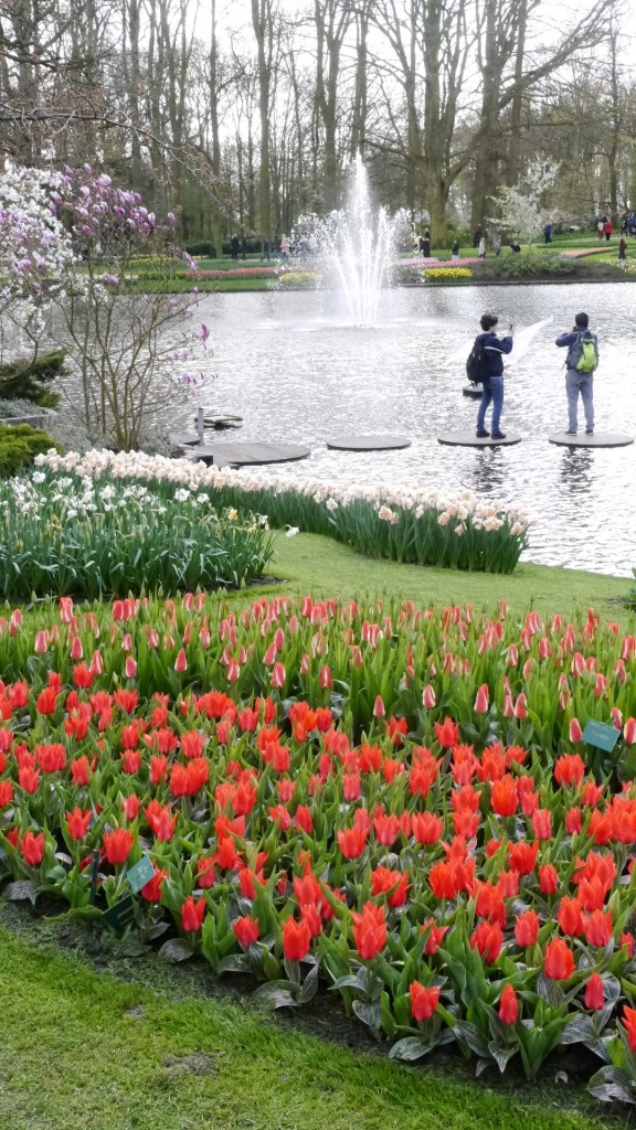 Pozostałe, Keukenhof