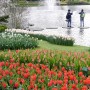 Pozostałe, Keukenhof