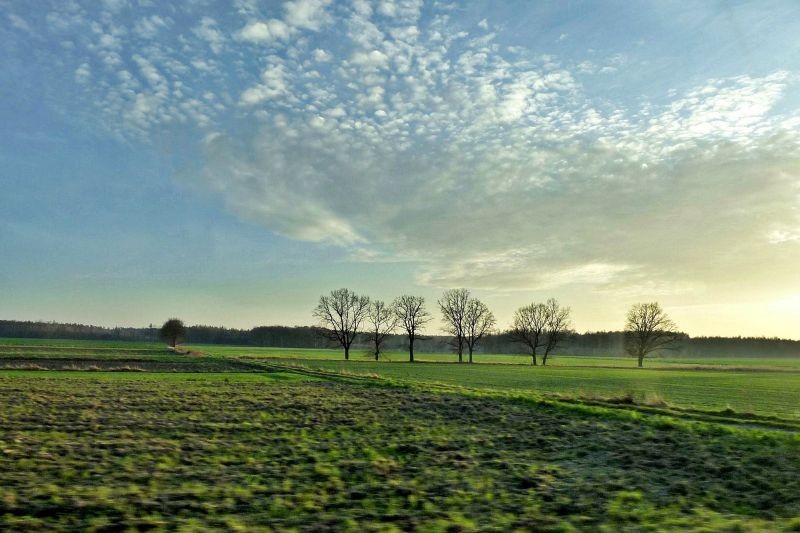 Ogród, Na tle błękitnego nieba.