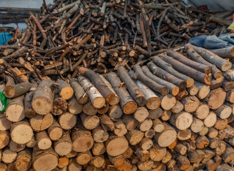 ile kosztuje drewno w Lasach Państwowych