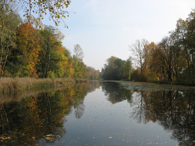 Pozostałe, Jesień - Piękne barwy jesieni.
alejak.pl