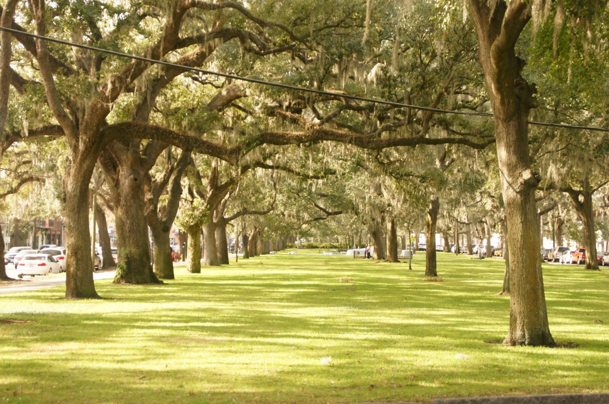 Podróże, Savannah, Georgia