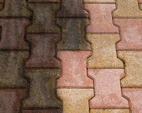 Pogromca zielonego nalotu na kostce brukowej i tarasie. Nie pozostanie najmniejszy ślad