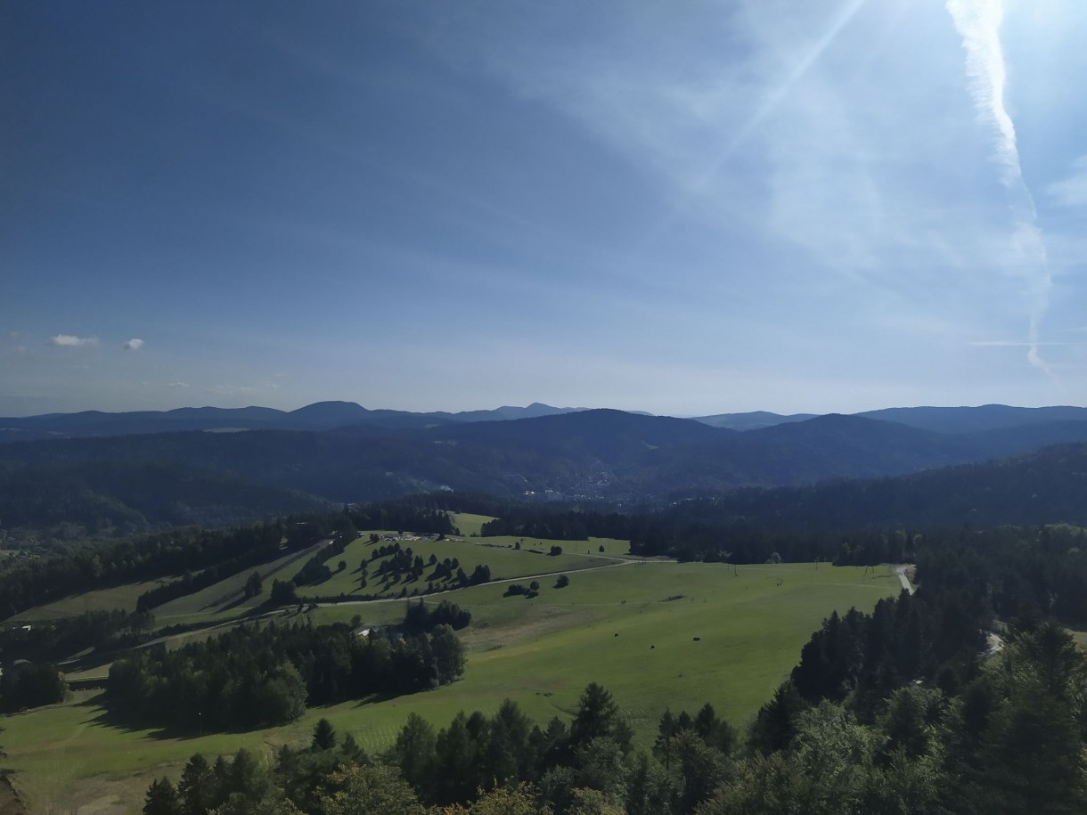 Leśne klimaty, Krynica Zdrój-Wieża Widokowa