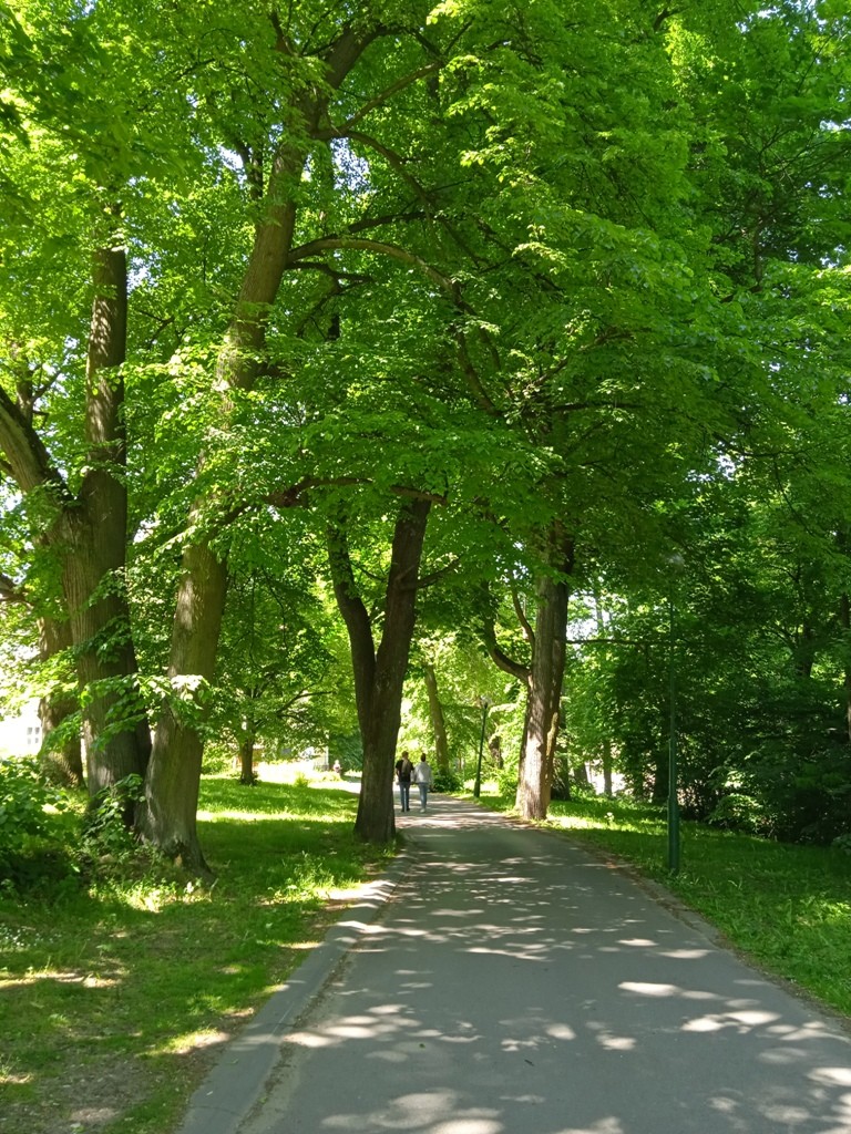 Podróże, WOKÓŁ PAŁACU RACZYŃSKICH