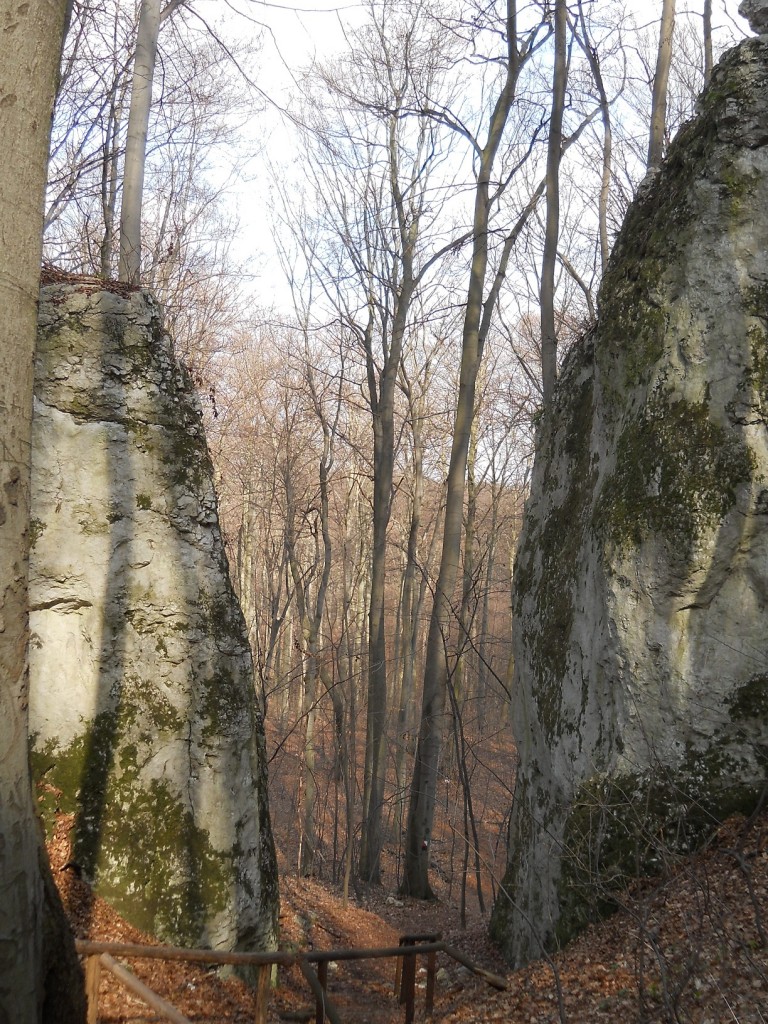 Podróże, Geofity wiosenne - czyli Rezerwat Pazurek i jego bogactwo. - Pomiędzy dwoma skałami, które kojarzą się z bramą do tego kamiennego miasta, poprowadzone są schodki z poręczami.