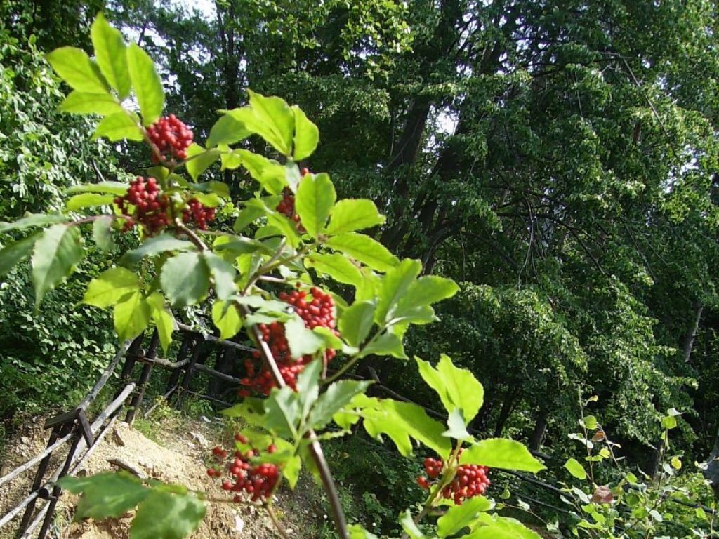 Podróże, PEJZAŻE  GÓRY  ZBORÓW