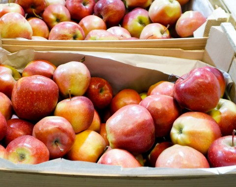 Jak przechowywać jabłka na zimę? Optymalne miejsce i warunki dla najpopularniejszych polskich owoców