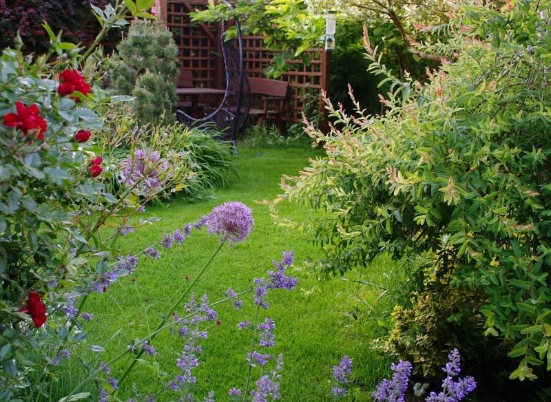 Wierzby ozdobne idealnie wpisują się w przestrzeń małych i dużych ogrodów.