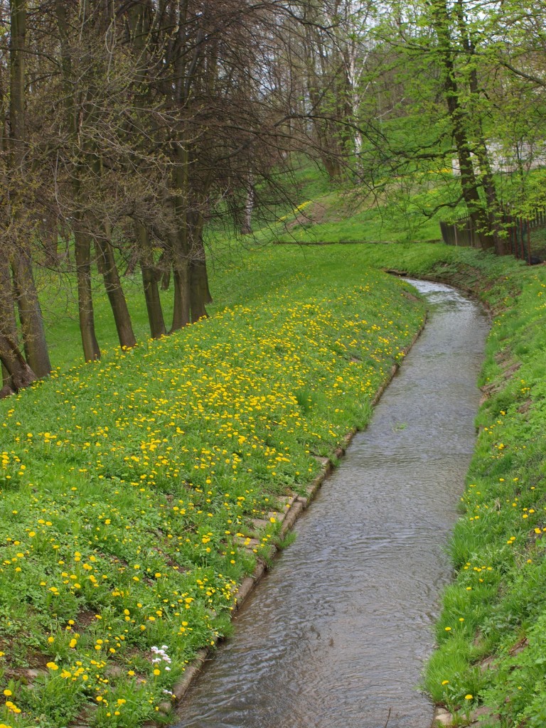 Pozostałe, wiosenna sobota