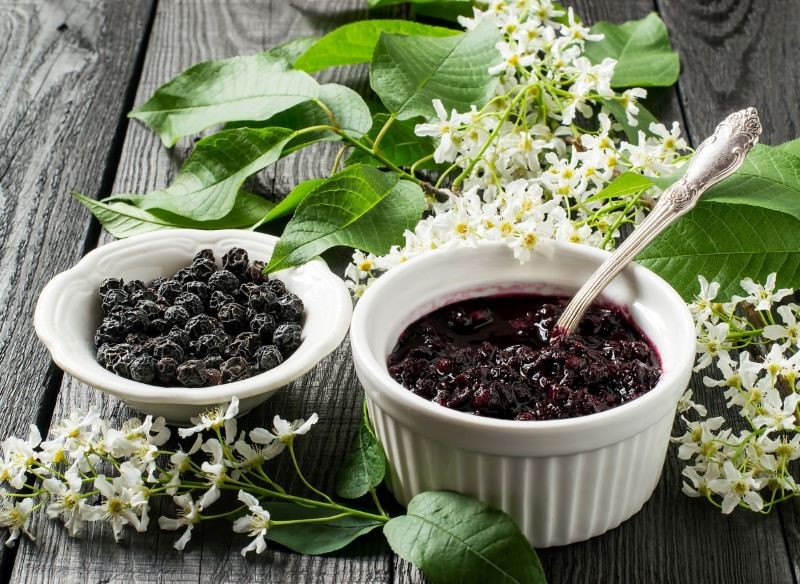 Owoce czeremchy są bardzo wartościowe.