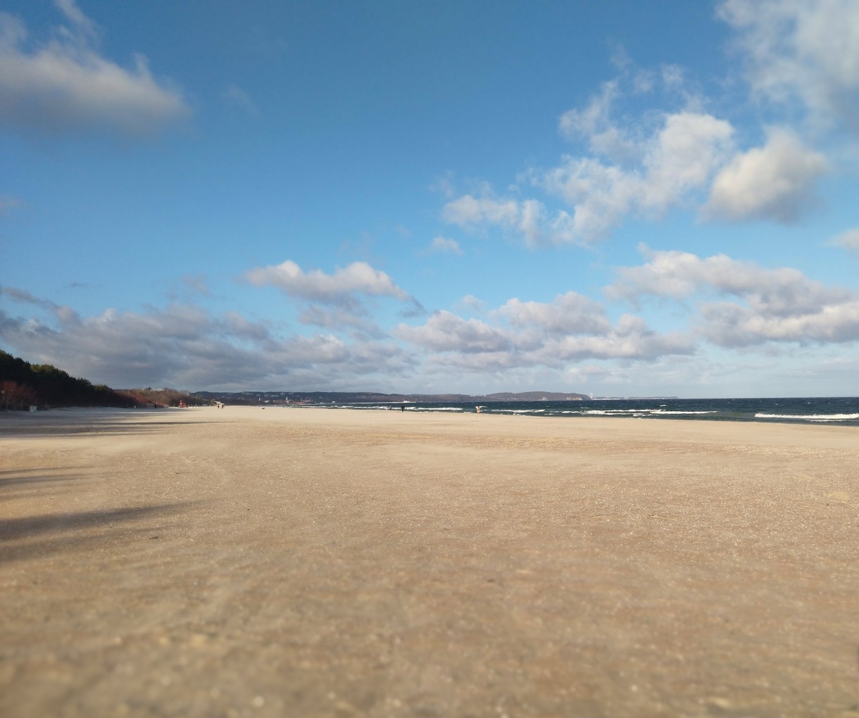 Rośliny, Z tęsknoty za wiosną................. - .................i plaża po wichurze.............