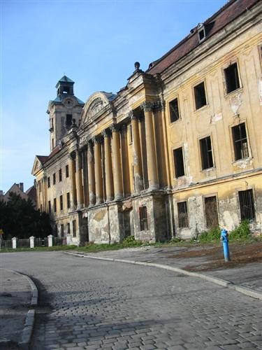 Pozostałe, Ruiny pałacowo-zamkowe w Żarach