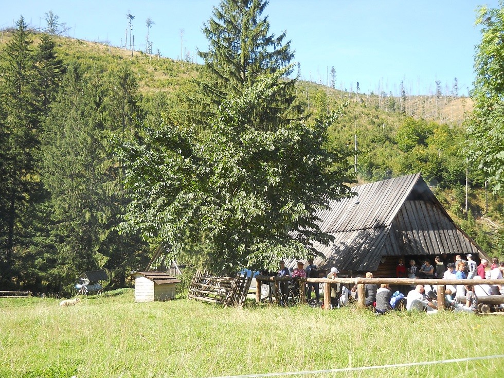 Pozostałe, Zakopane w foto - pigułce. Część piąta: Dolina Kościeliska. - Bacówka oblężona przez turystów. A wiecie, że nie miała komina?... dym wydobywał się z przodu, w otworze przy samym dachu.