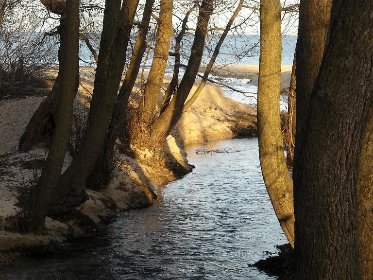 Pozostałe, Co słychać nad morzem...........szum fal.............