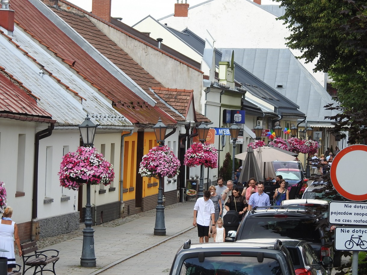 Rośliny, NIEZWYKŁA MOC KWIATÓW I ZIÓŁ