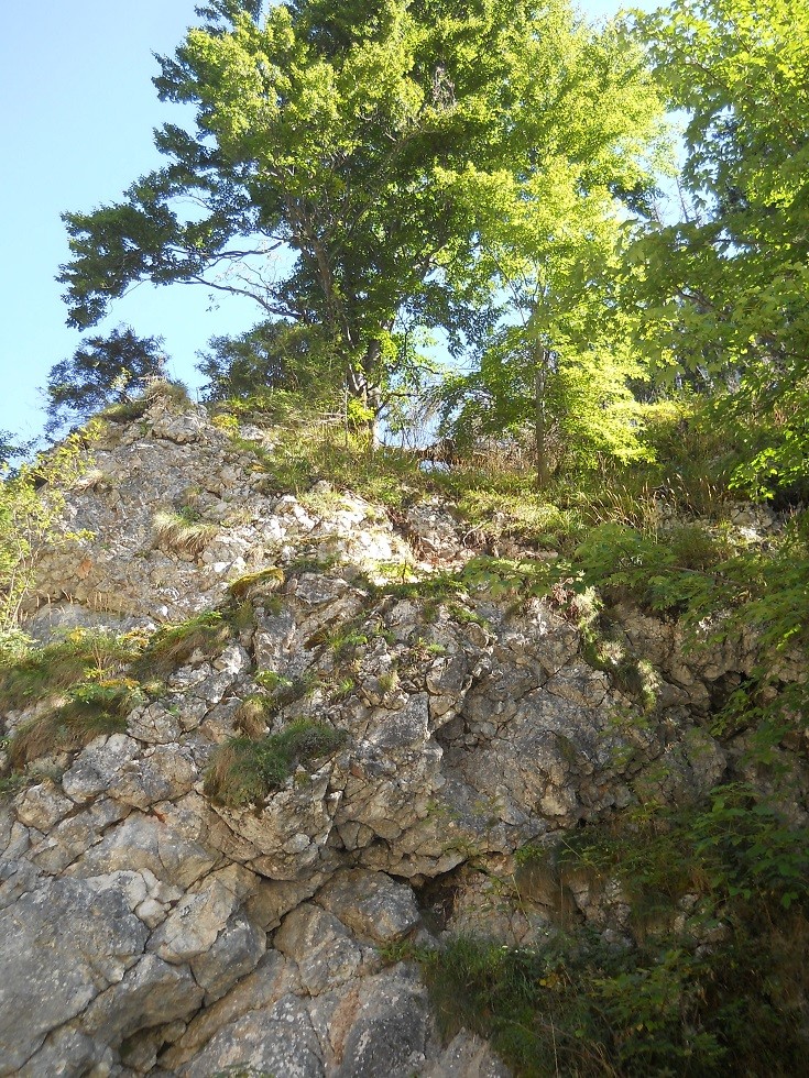 Pozostałe, Zakopane w foto - pigułce. Część piąta: Dolina Kościeliska. - Lewa strona Bramy Kantaka. A zbudowana jest ta skała z łodyg liliowców:) Jest to wapień kynoidowy.