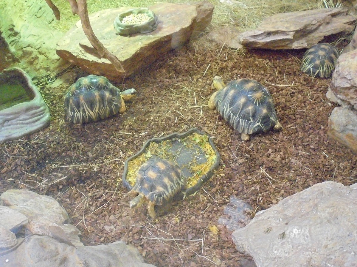 Pozostałe, AFRYKARIUM - WROCŁAW