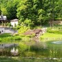 Podróże, ZAKOCHANI  W  SZCZAWNICY - Park Dolny