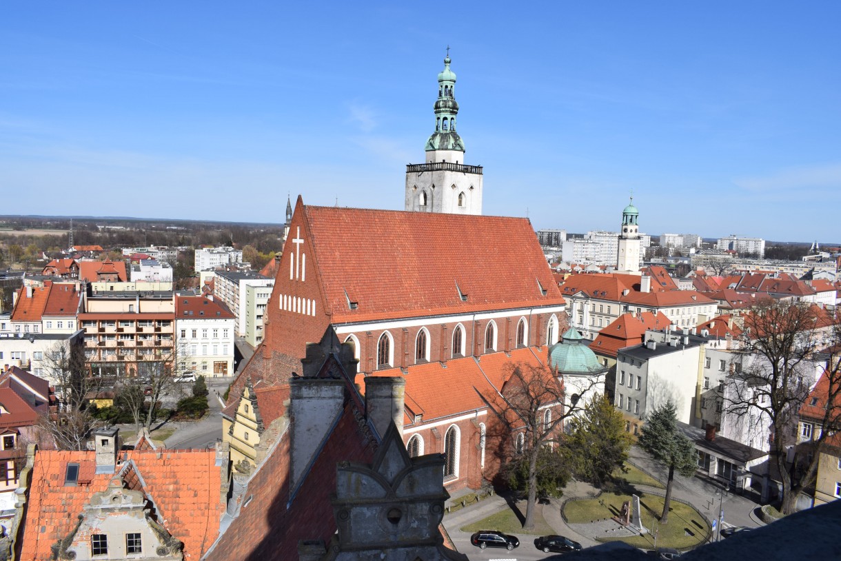 Rośliny, NA ŻÓŁTO I NA NIEBIESKO ...