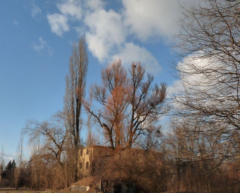 Pozostałe, Z Ciechocinka