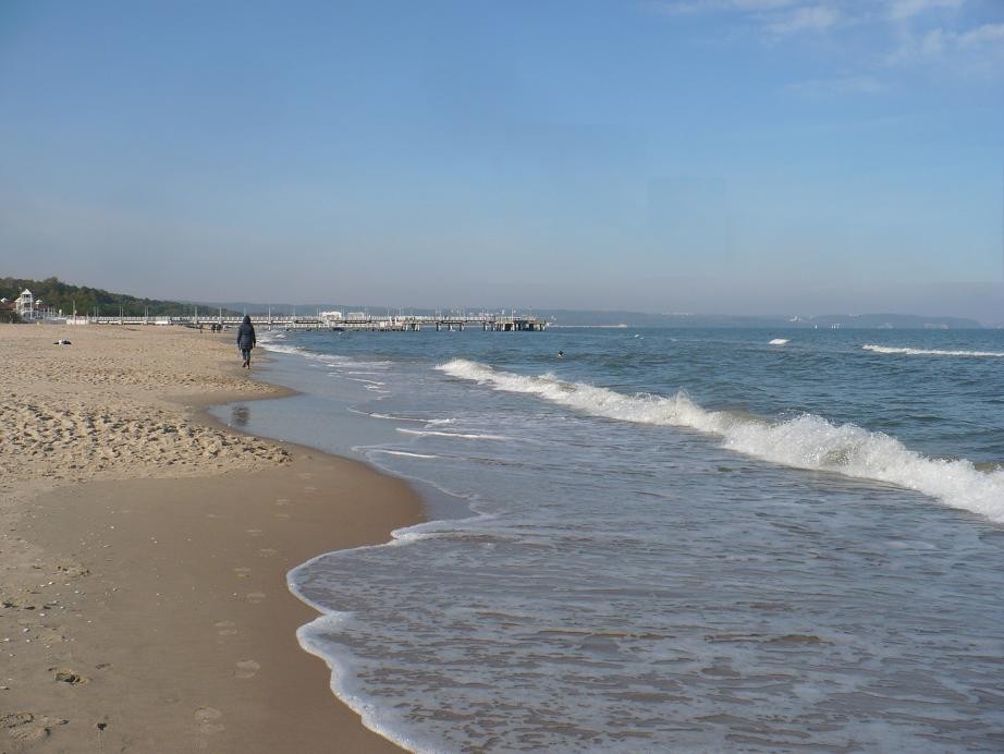 Pozostałe, Jesień w Parku Oliwskim.............. - .............morskie klimaty...............