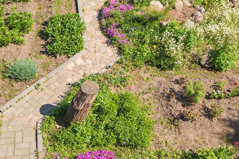 ścieżka w ogrodzie