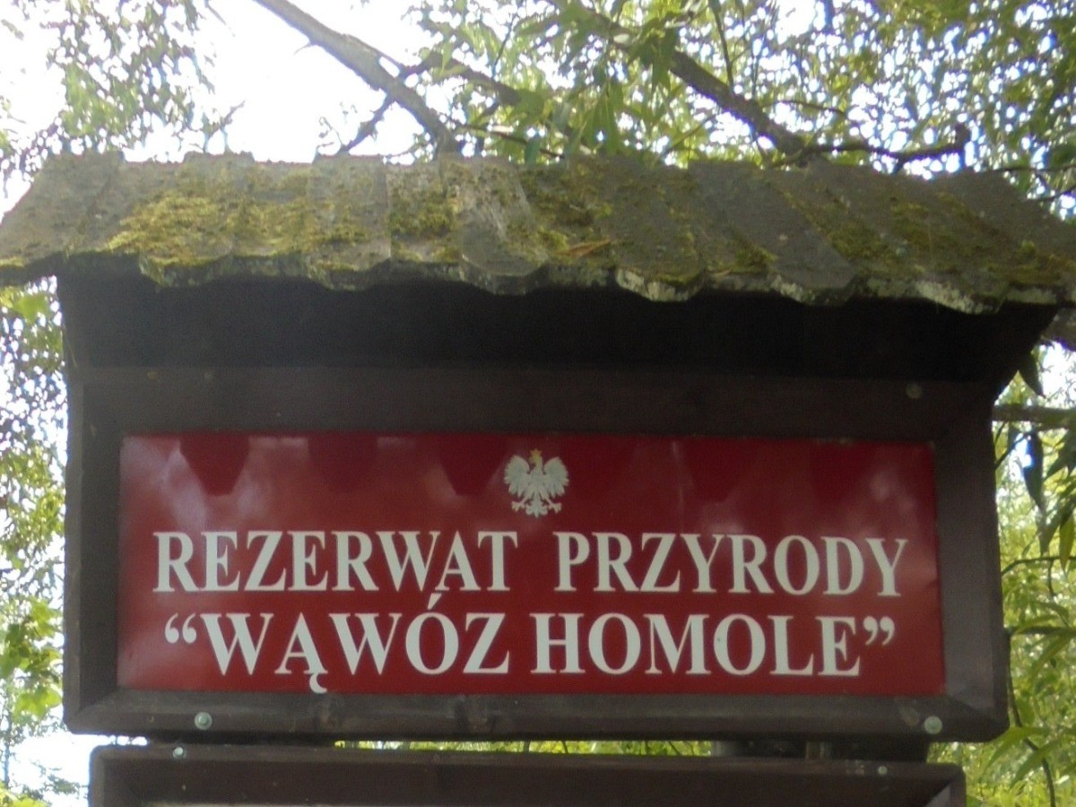 Podróże, FANTASTYCZNE  OKOLICE  PIENIN - Wąwóz Homole