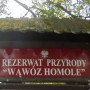 Podróże, FANTASTYCZNE  OKOLICE  PIENIN - Wąwóz Homole