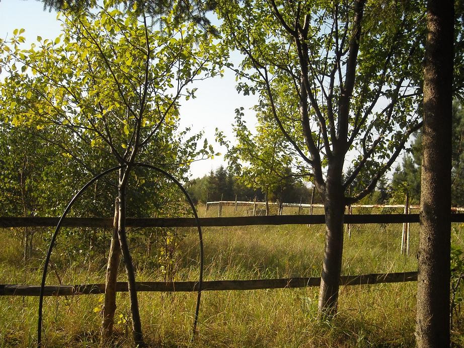 Pozostałe, Ładowania akumulatorów ciąg dalszy ....czyli weekend na wsi..... - ...........i dzień ma się już ku końcowi...........