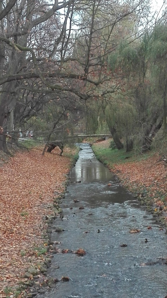 Podróże, Listopadowy park