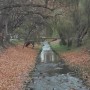 Podróże, Listopadowy park